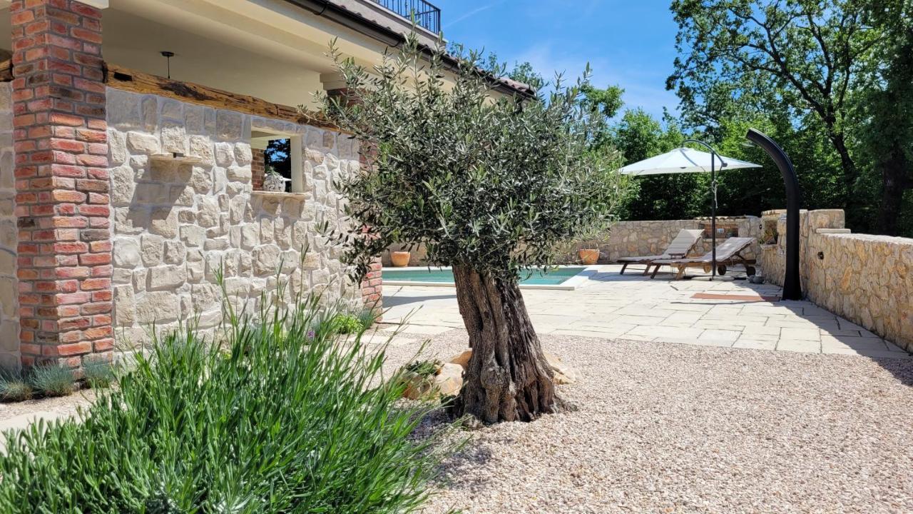 Villa Alara - Charming Villa With Heated Swimming Pool Milohnici المظهر الخارجي الصورة